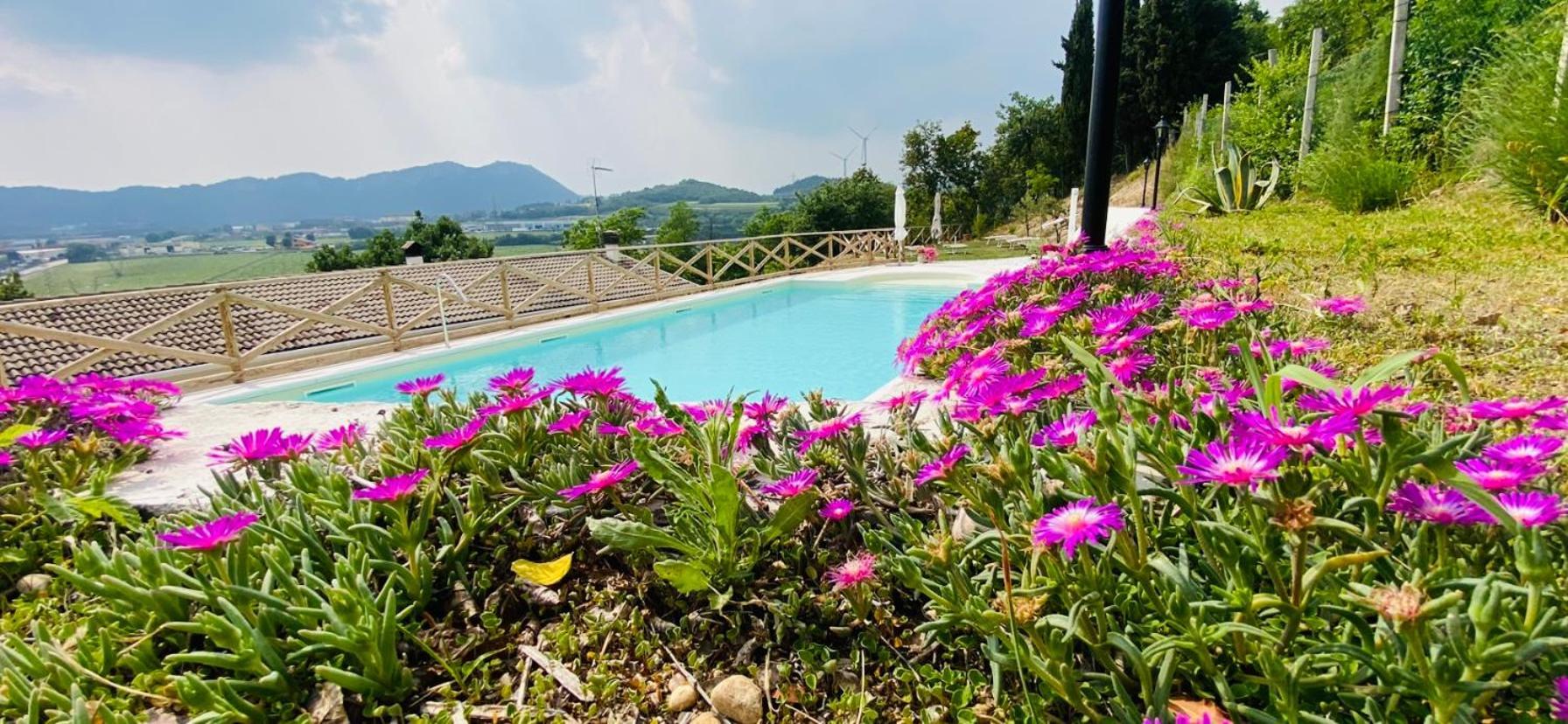 Villa Poggio Ulivo Pool-Apartments Rivoli Veronese Exterior photo